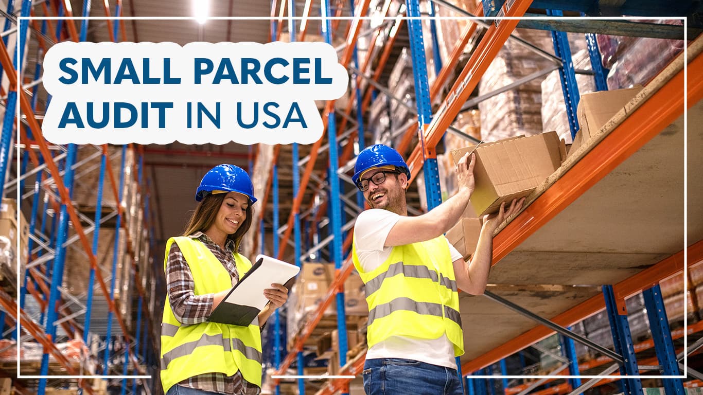 small parcel audit in usa 1