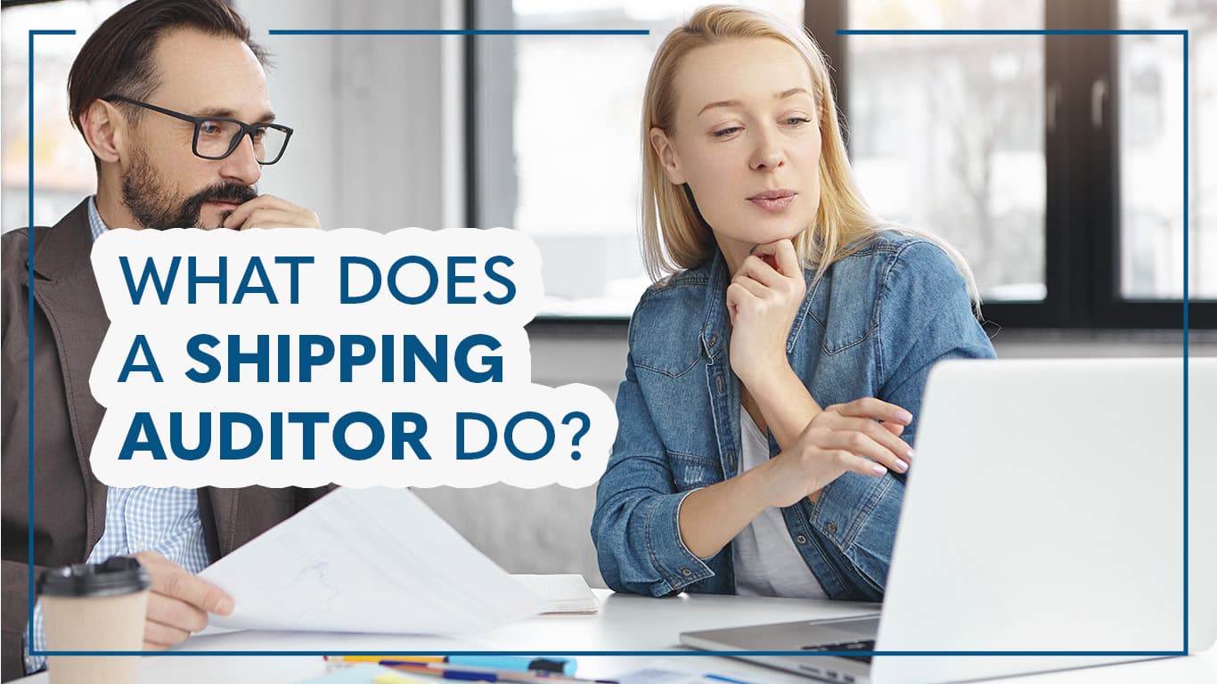 What does a shipping auditor do 1