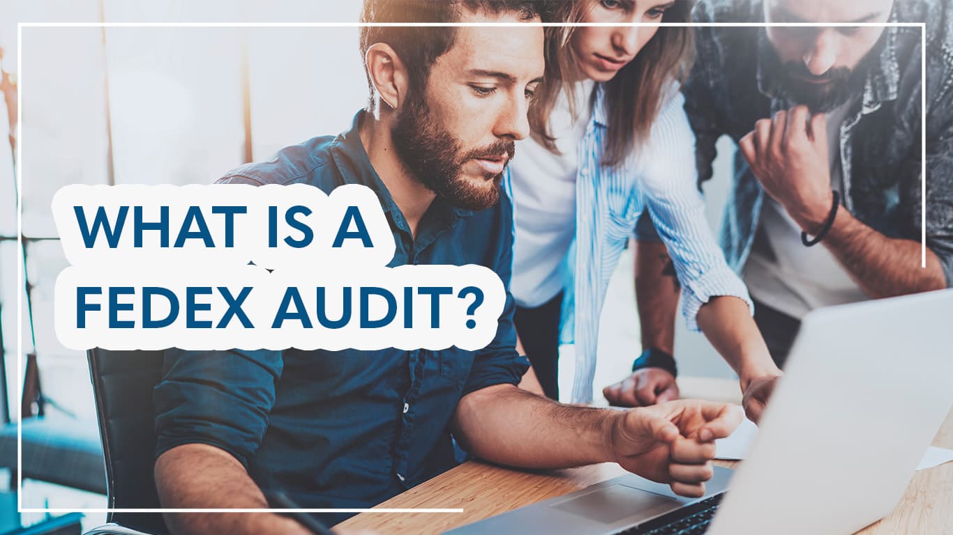 what is fedex audit 1